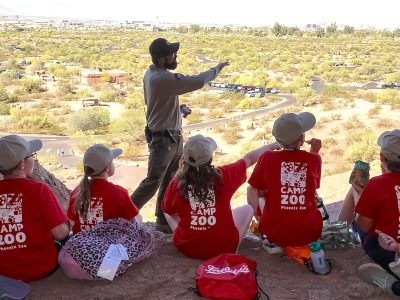 Two City of Phoenix park rangers in uniform stand outdoors with a group of children, pointing toward desert vegetation under a bright sky.