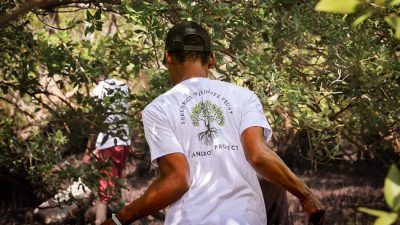 A member of the Sheldrick Wildlife Trust mangrove team walking through dense mangroves in shallow water, seen from behind, wearing a white T-shirt printed with the Trust's Mangrove Project tree logo.