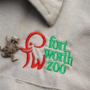 A tiny Texas horned lizard hatchling rests on a hand beside an embroidered Fort Worth Zoo logo.