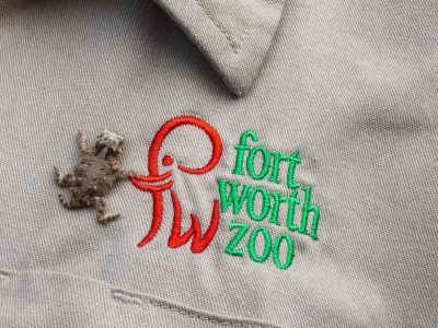 A tiny Texas horned lizard hatchling rests on a hand beside an embroidered Fort Worth Zoo logo.