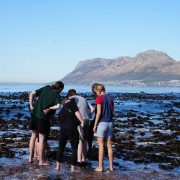 Five people standing barefoot in shallow water on a kelp-strewn rocky shore at low tide, bending to look at something in a pool, with a blue sea and mountains behind them.