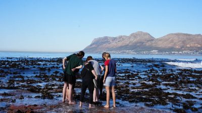 Five people standing barefoot in shallow water on a kelp-strewn rocky shore at low tide, bending to look at something in a pool, with a blue sea and mountains behind them.