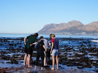 Five people standing barefoot in shallow water on a kelp-strewn rocky shore at low tide, bending to look at something in a pool, with a blue sea and mountains behind them.