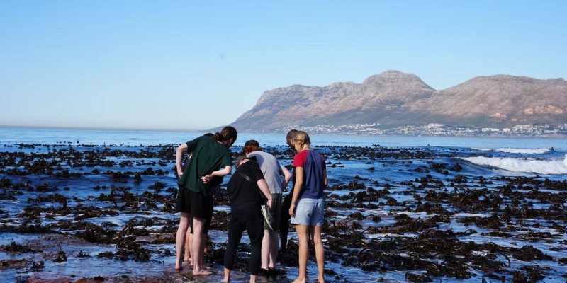 Five people standing barefoot in shallow water on a kelp-strewn rocky shore at low tide, bending to look at something in a pool, with a blue sea and mountains behind them.