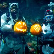 Two scuba divers hold lit carved pumpkins inside an aquarium habitat at the Vancouver Aquarium