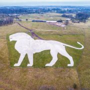 An aerial view of a large white lion figure cut into a green chalk hillside, with countryside beyond.