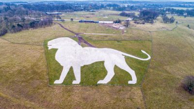 An aerial view of a large white lion figure cut into a green chalk hillside, with countryside beyond.
