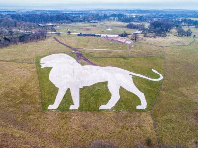 An aerial view of a large white lion figure cut into a green chalk hillside, with countryside beyond.