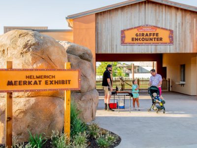 A sign reading Helmerich Meerkat Exhibit stands beside a boulder wall on a new paved path at Tulsa Zoo, with the timber-framed Hardesty Family Foundation Giraffe Encounter building and several visitors behind it.