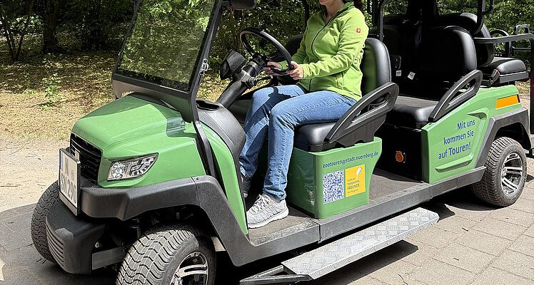 A zoo staff member sits at the wheel of a small green electric vehicle with an open side and a boarding ramp.