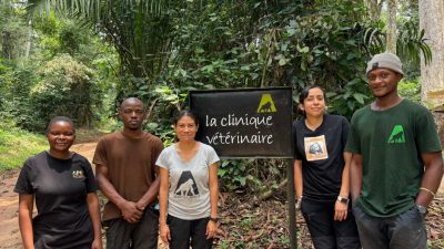 Five members of a veterinary team stand on a forest track in front of a black painted sign reading la clinique veterinaire, with dense green rainforest behind them.