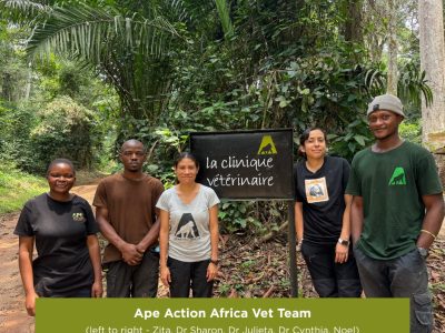 Five members of a veterinary team stand on a forest track in front of a black painted sign reading la clinique veterinaire, with dense green rainforest behind them.
