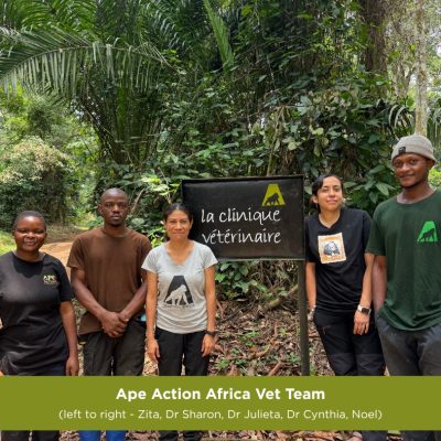 Five members of a veterinary team stand on a forest track in front of a black painted sign reading la clinique veterinaire, with dense green rainforest behind them.