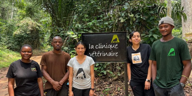 Five members of a veterinary team stand on a forest track in front of a black painted sign reading la clinique veterinaire, with dense green rainforest behind them.