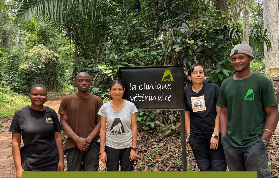 Five members of a veterinary team stand on a forest track in front of a black painted sign reading la clinique veterinaire, with dense green rainforest behind them.