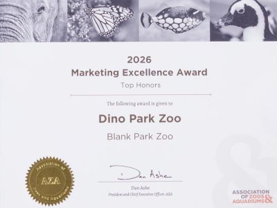 An award certificate printed with a row of animal photographs along the top, reading 2026 Marketing Excellence Award, Top Honors, given to Dino Park Zoo, Blank Park Zoo, with a gold Association of Zoos and Aquariums seal and the signature of Dan Ashe.