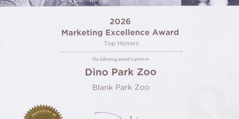 An award certificate printed with a row of animal photographs along the top, reading 2026 Marketing Excellence Award, Top Honors, given to Dino Park Zoo, Blank Park Zoo, with a gold Association of Zoos and Aquariums seal and the signature of Dan Ashe.