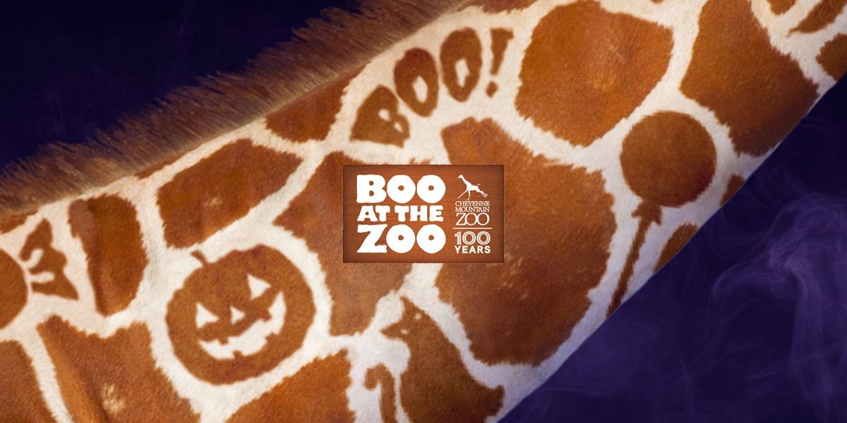 Promotional graphic for Cheyenne Mountain Zoo's Boo at the Zoo showing a close-up of a giraffe's neck whose spot pattern forms a jack-o-lantern, a black cat and the word BOO, against a purple smoke background, with the event and zoo 100 Years logo at the center.