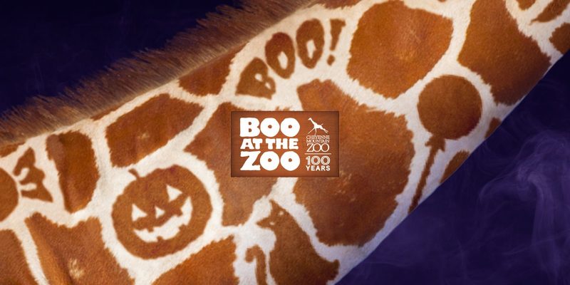 Promotional graphic for Cheyenne Mountain Zoo's Boo at the Zoo showing a close-up of a giraffe's neck whose spot pattern forms a jack-o-lantern, a black cat and the word BOO, against a purple smoke background, with the event and zoo 100 Years logo at the center.