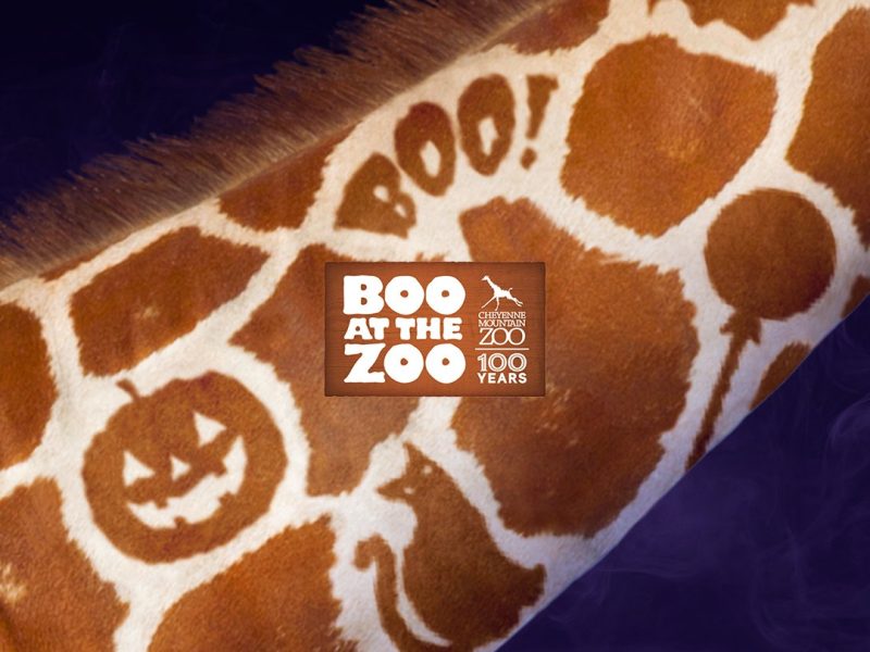 Promotional graphic for Cheyenne Mountain Zoo's Boo at the Zoo showing a close-up of a giraffe's neck whose spot pattern forms a jack-o-lantern, a black cat and the word BOO, against a purple smoke background, with the event and zoo 100 Years logo at the center.