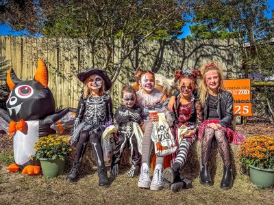 Five children in skeleton and cat Halloween costumes and face paint sit on hay bales at the Gulf Breeze Zoo, holding trick-or-treat bags, with an inflatable bat and pots of mums beside them.