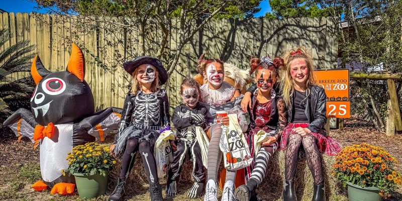 Five children in skeleton and cat Halloween costumes and face paint sit on hay bales at the Gulf Breeze Zoo, holding trick-or-treat bags, with an inflatable bat and pots of mums beside them.