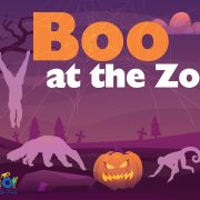 Promotional artwork for Boo at the Zoo reading BOO in large orange letters wrapped in cobwebs above the words at the Zoo in white, on a purple twilight landscape with a crescent moon behind a bare tree, a Ferris wheel at the right, two carved jack-o-lanterns in the foreground, one of them wearing a witch hat, and pale silhouettes of a camel, an anteater, a monkey and a hanging primate across the scene, with the Santa Ana Parks and Recreation and Santa Ana Zoo logos at lower left.
