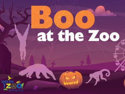 Promotional artwork for Boo at the Zoo reading BOO in large orange letters wrapped in cobwebs above the words at the Zoo in white, on a purple twilight landscape with a crescent moon behind a bare tree, a Ferris wheel at the right, two carved jack-o-lanterns in the foreground, one of them wearing a witch hat, and pale silhouettes of a camel, an anteater, a monkey and a hanging primate across the scene, with the Santa Ana Parks and Recreation and Santa Ana Zoo logos at lower left.