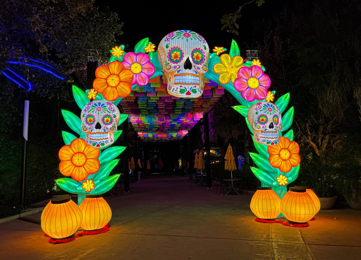 An illuminated archway at Houston Zoo at night, built from glowing oversized flowers, green leaves and three decorated calavera skulls, with a canopy of brightly colored papel picado banners beyond it.