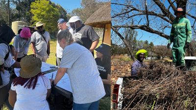 A two-panel photograph. On the left, volunteers in sun hats lean over an outdoor table covered with large sheets of paper, sketching and writing. On the right, two workers in green overalls and hard hats load cut invasive brush onto the back of a pickup truck.