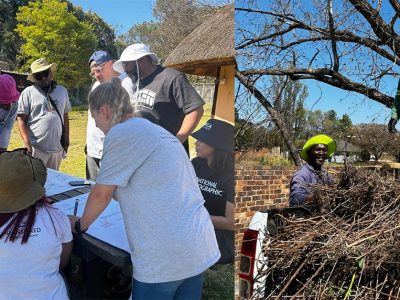 A two-panel photograph. On the left, volunteers in sun hats lean over an outdoor table covered with large sheets of paper, sketching and writing. On the right, two workers in green overalls and hard hats load cut invasive brush onto the back of a pickup truck.