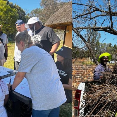 A two-panel photograph. On the left, volunteers in sun hats lean over an outdoor table covered with large sheets of paper, sketching and writing. On the right, two workers in green overalls and hard hats load cut invasive brush onto the back of a pickup truck.