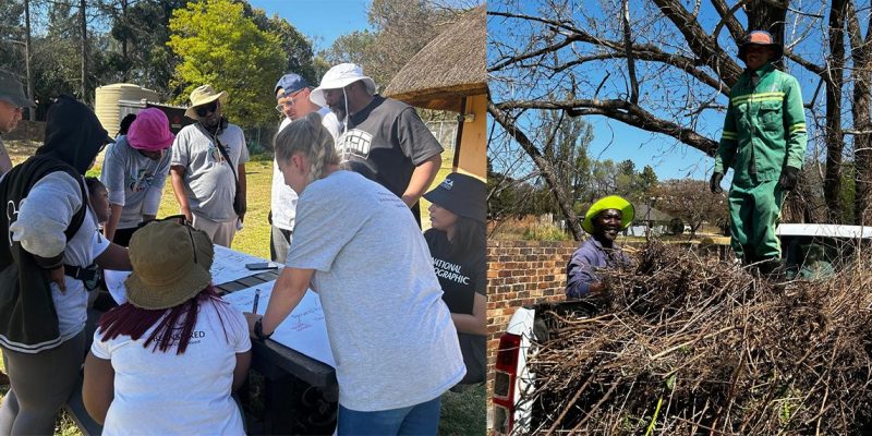 A two-panel photograph. On the left, volunteers in sun hats lean over an outdoor table covered with large sheets of paper, sketching and writing. On the right, two workers in green overalls and hard hats load cut invasive brush onto the back of a pickup truck.