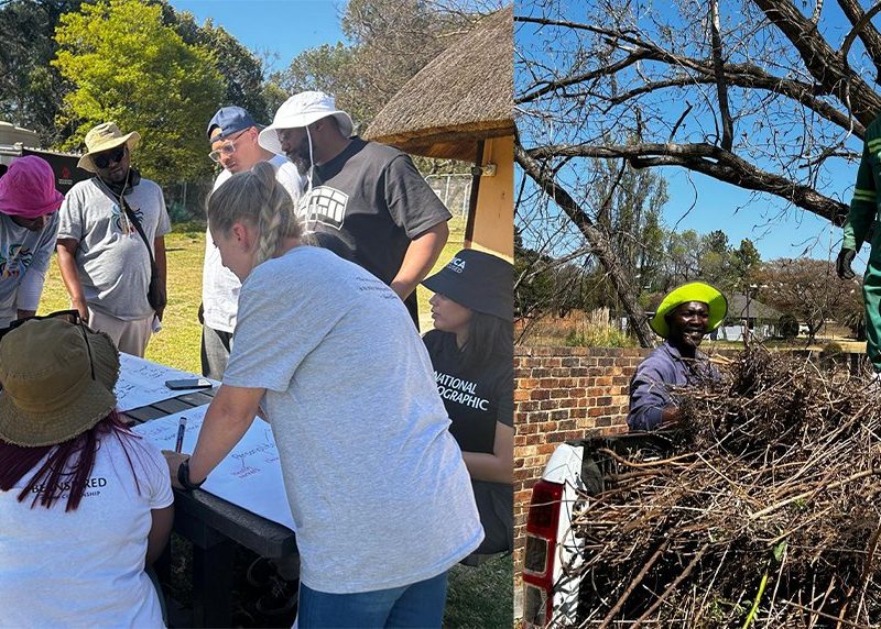 A two-panel photograph. On the left, volunteers in sun hats lean over an outdoor table covered with large sheets of paper, sketching and writing. On the right, two workers in green overalls and hard hats load cut invasive brush onto the back of a pickup truck.