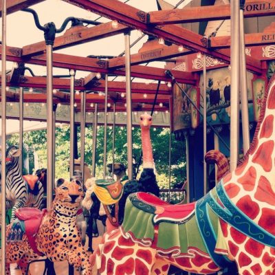 Carved wooden animals on the Birmingham Zoo carousel, including a tall giraffe with a red bridle, a spotted leopard, a zebra, an ostrich and two pale horses, under a lit wooden canopy with species names painted on the boards above.