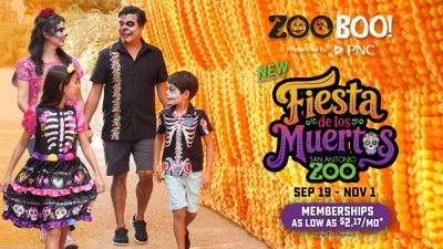 Promotional graphic for San Antonio Zoo's Zoo Boo! showing a family of four in Day of the Dead face paint and skeleton-print clothing walking past a tall wall of orange marigolds, beside lettering that reads Fiesta de los Muertos, San Antonio Zoo, Sep 19 to Nov 1.