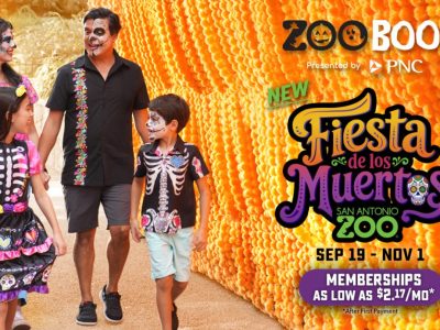 Promotional graphic for San Antonio Zoo's Zoo Boo! showing a family of four in Day of the Dead face paint and skeleton-print clothing walking past a tall wall of orange marigolds, beside lettering that reads Fiesta de los Muertos, San Antonio Zoo, Sep 19 to Nov 1.