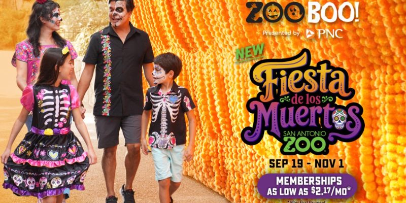 Promotional graphic for San Antonio Zoo's Zoo Boo! showing a family of four in Day of the Dead face paint and skeleton-print clothing walking past a tall wall of orange marigolds, beside lettering that reads Fiesta de los Muertos, San Antonio Zoo, Sep 19 to Nov 1.