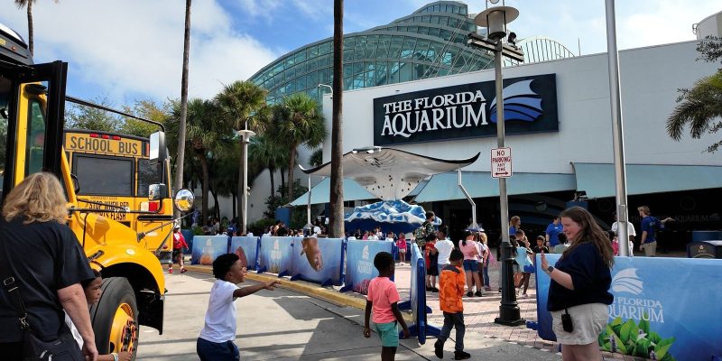 Schoolchildren step off a yellow school bus and walk toward the entrance of The Florida Aquarium in Tampa, past a stingray sculpture beneath the building glass atrium.