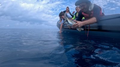 A man leans over the side of an inflatable boat to lower a young green sea turtle into open Mediterranean water while two children and a woman watch from the bow.