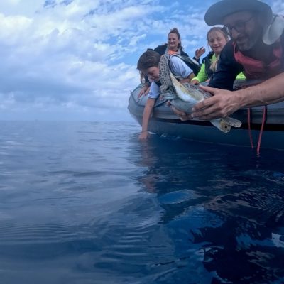 A man leans over the side of an inflatable boat to lower a young green sea turtle into open Mediterranean water while two children and a woman watch from the bow.