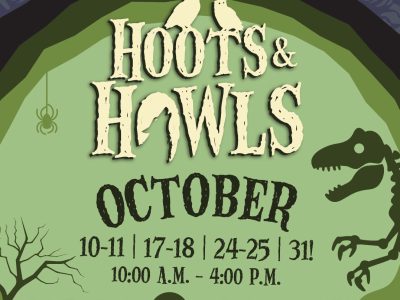 Promotional artwork for Hoots and Howls showing the event name in tall carved lettering across a bright green moon, with two white owls perched on the first word, a skeletal dinosaur standing at the right edge, a bare tree and a hanging spider at the left, and the text OCTOBER 10-11, 17-18, 24-25, 31 and 10:00 A.M. - 4:00 P.M. below, all set inside a dark purple border.