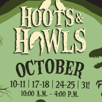 Promotional artwork for Hoots and Howls showing the event name in tall carved lettering across a bright green moon, with two white owls perched on the first word, a skeletal dinosaur standing at the right edge, a bare tree and a hanging spider at the left, and the text OCTOBER 10-11, 17-18, 24-25, 31 and 10:00 A.M. - 4:00 P.M. below, all set inside a dark purple border.