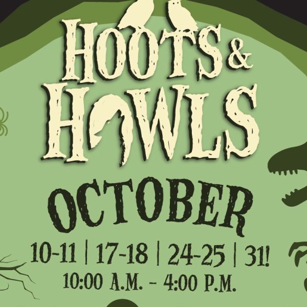 Promotional artwork for Hoots and Howls showing the event name in tall carved lettering across a bright green moon, with two white owls perched on the first word, a skeletal dinosaur standing at the right edge, a bare tree and a hanging spider at the left, and the text OCTOBER 10-11, 17-18, 24-25, 31 and 10:00 A.M. - 4:00 P.M. below, all set inside a dark purple border.