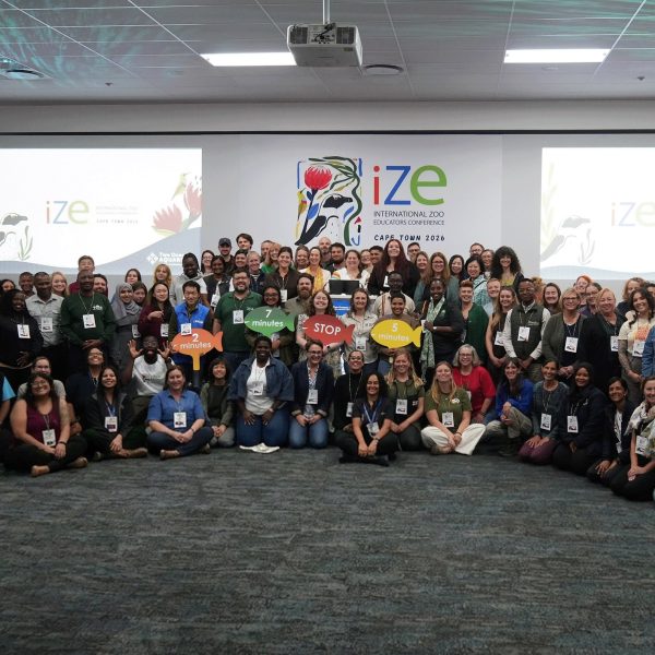 A large group of conference delegates stands and crouches together for a group photograph in front of a screen reading IZE International Zoo Educators Conference Cape Town 2026.
