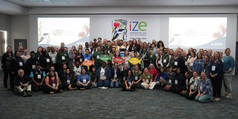 A large group of conference delegates stands and crouches together for a group photograph in front of a screen reading IZE International Zoo Educators Conference Cape Town 2026.