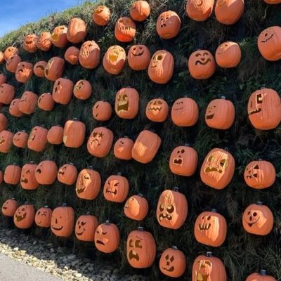 Hundreds of carved pumpkins, each with a different face, set in rows across a long grass-covered bank beside a walkway, curving away into the distance under a blue sky.