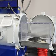 A sea turtle lies on a padded tray inside a clear acrylic box, positioned at the open circular door of a large white cylindrical hyperbaric chamber in a veterinary treatment room, with monitors above it.
