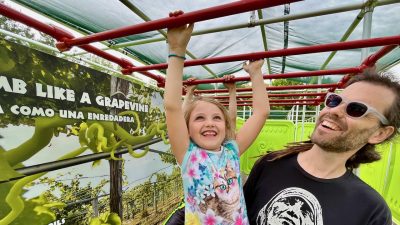 A young girl in a floral top hangs by both hands from red overhead climbing bars, grinning upward, while a bearded man in sunglasses holds her from behind. A graphic panel beside them reads CLIMB LIKE A GRAPEVINE above a photograph of vines.