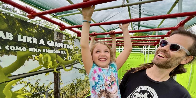 A young girl in a floral top hangs by both hands from red overhead climbing bars, grinning upward, while a bearded man in sunglasses holds her from behind. A graphic panel beside them reads CLIMB LIKE A GRAPEVINE above a photograph of vines.